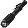 Badass Flashlight Stun Gun